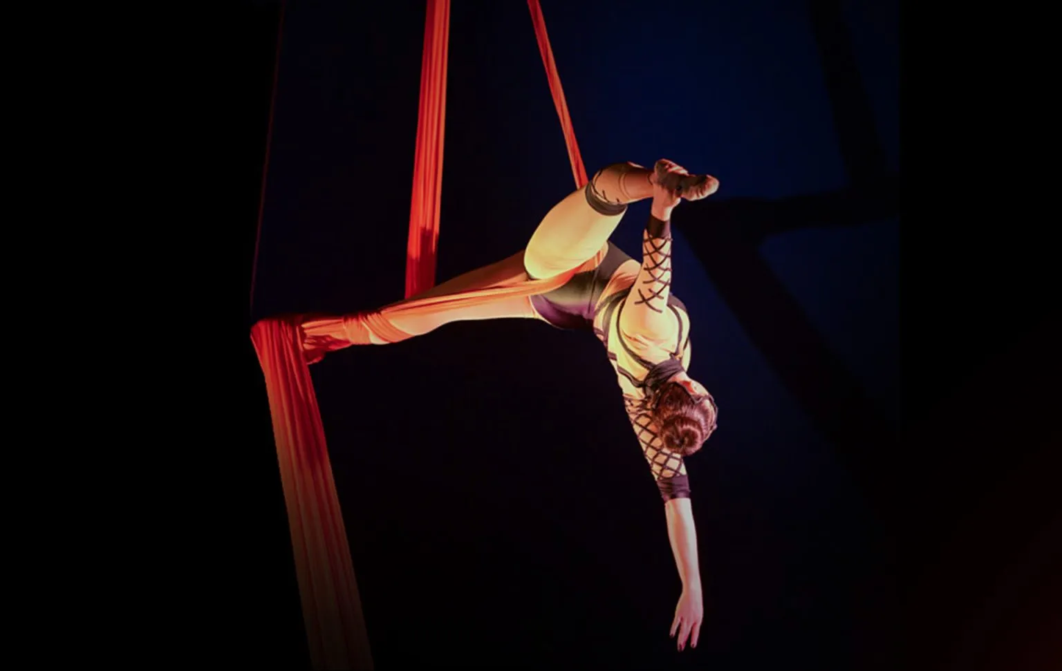 Ashton's - The Great Australian Circus in Ipswich