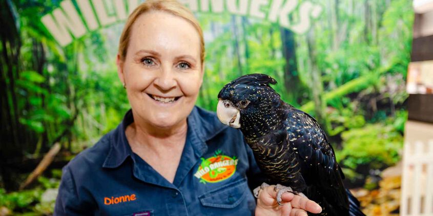 Creatures of the Creek - Animal Show