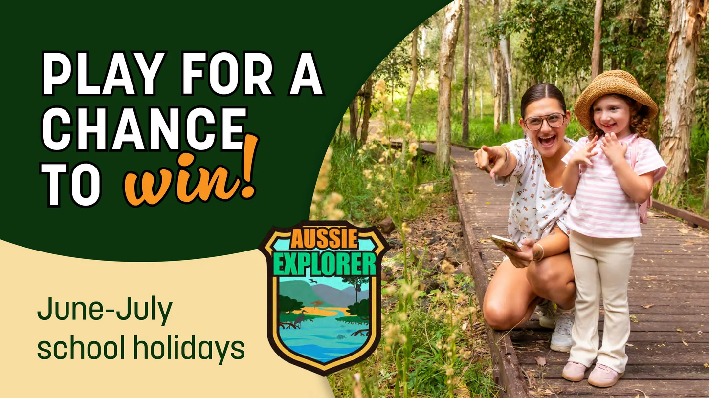 Aussie Explorer at Ipswich Nature Centre