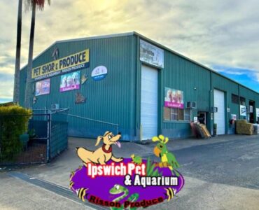 Where to get your Pet Supplies in Ipswich