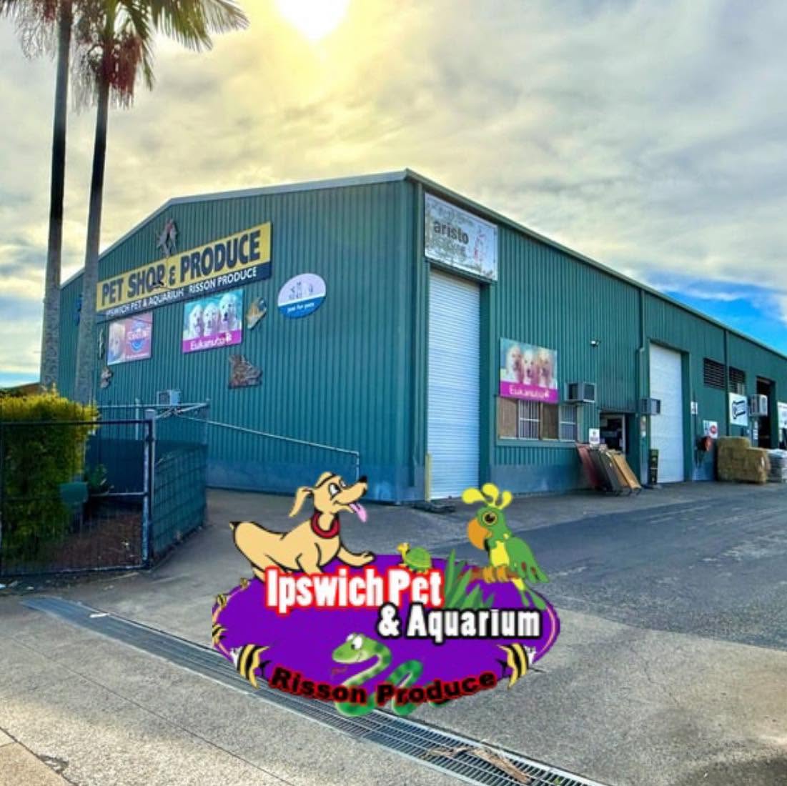 Where to get your Pet Supplies in Ipswich