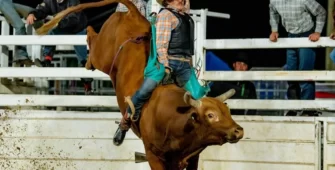 Bull-O-Rama Bull Ride