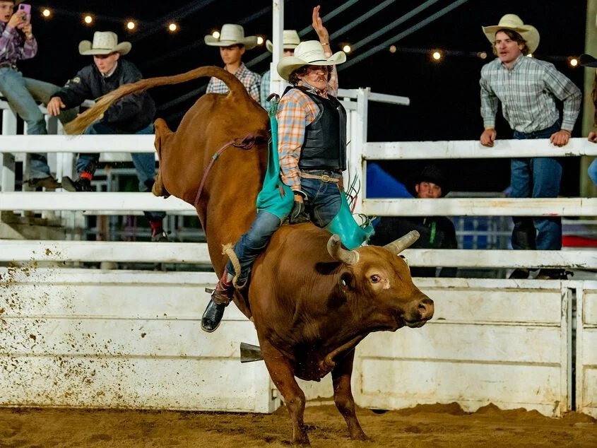 Bull-O-Rama Bull Ride