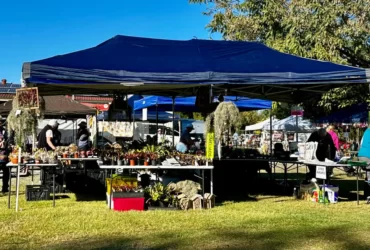The Marburg Garden & Outdoor Expo