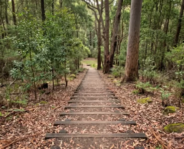 Denmark Hill Conservation Reserve — Urban Bushland in the Heart of Ipswich